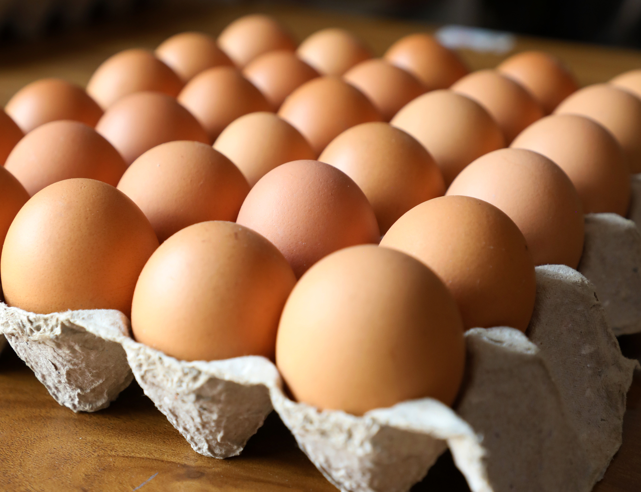 egg suppliers in bangalore